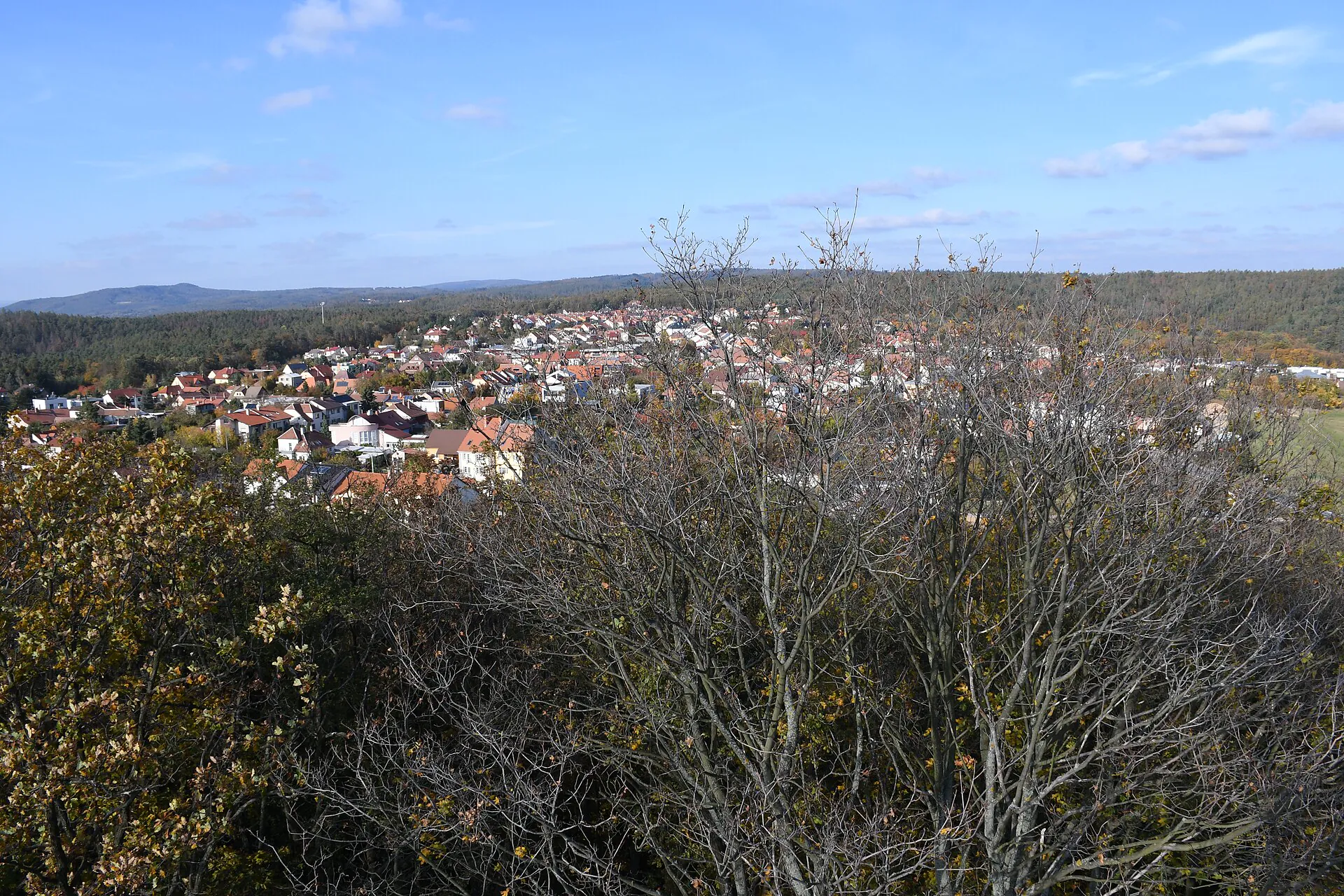 Výhled z rozhledny na obec Soběšice a okolní lesy