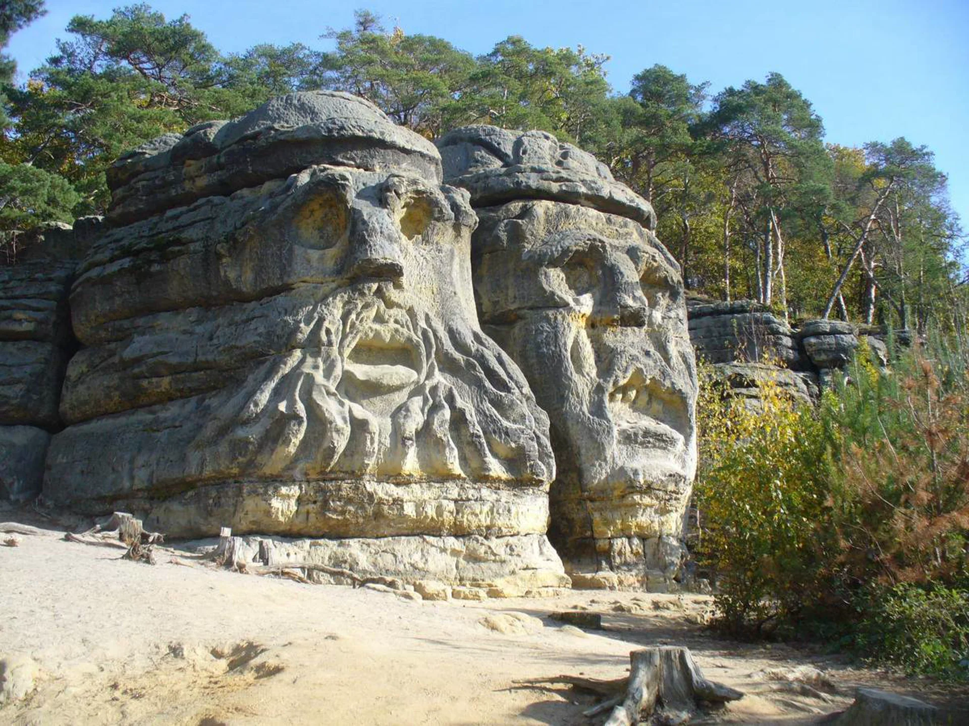 Dvě obří hlavy vytesané do pískovcové skály nad Želízy, kolem lesní porost