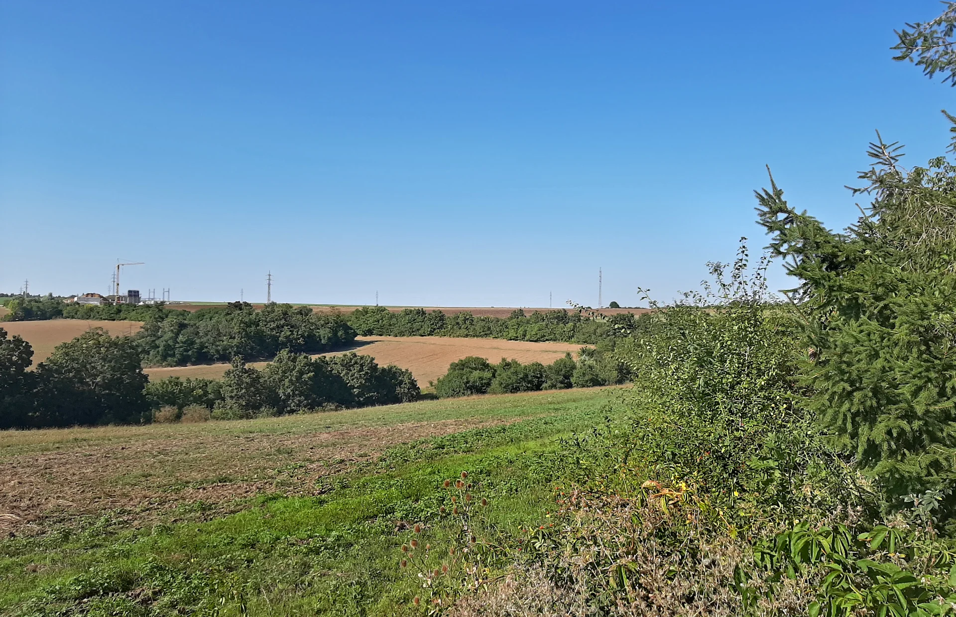 Pole a meze ve střední části přírodního parku Radotínsko-Chuchelský háj u Prahy