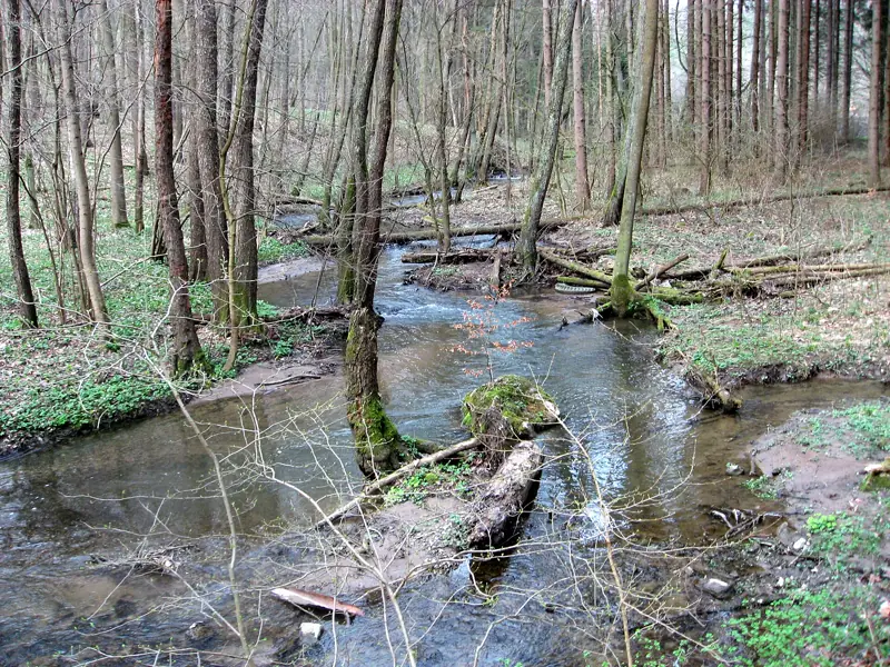 Údolí Říčky
