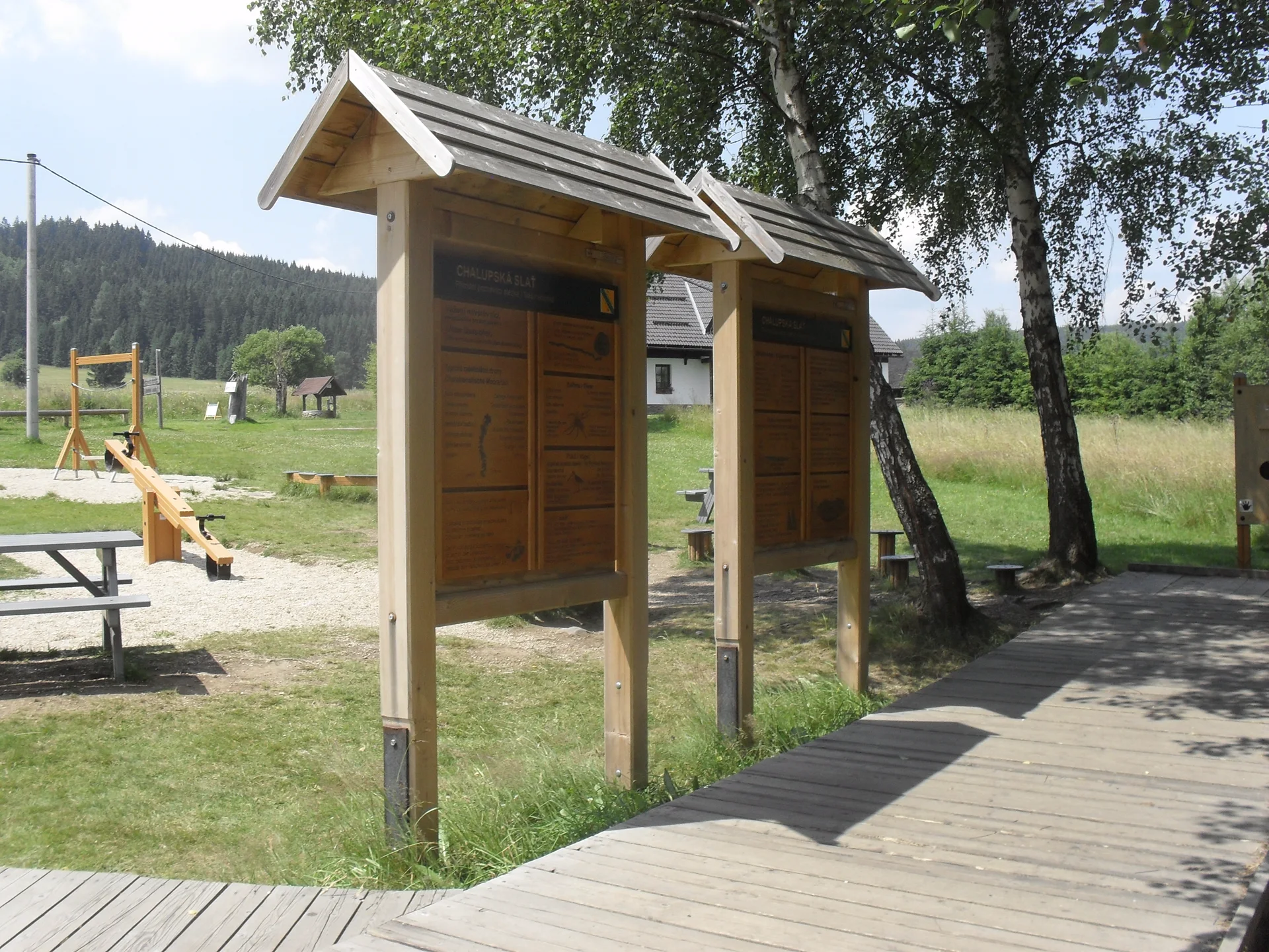 Chodník Chalupské slatě lemovaný břízami a klečí