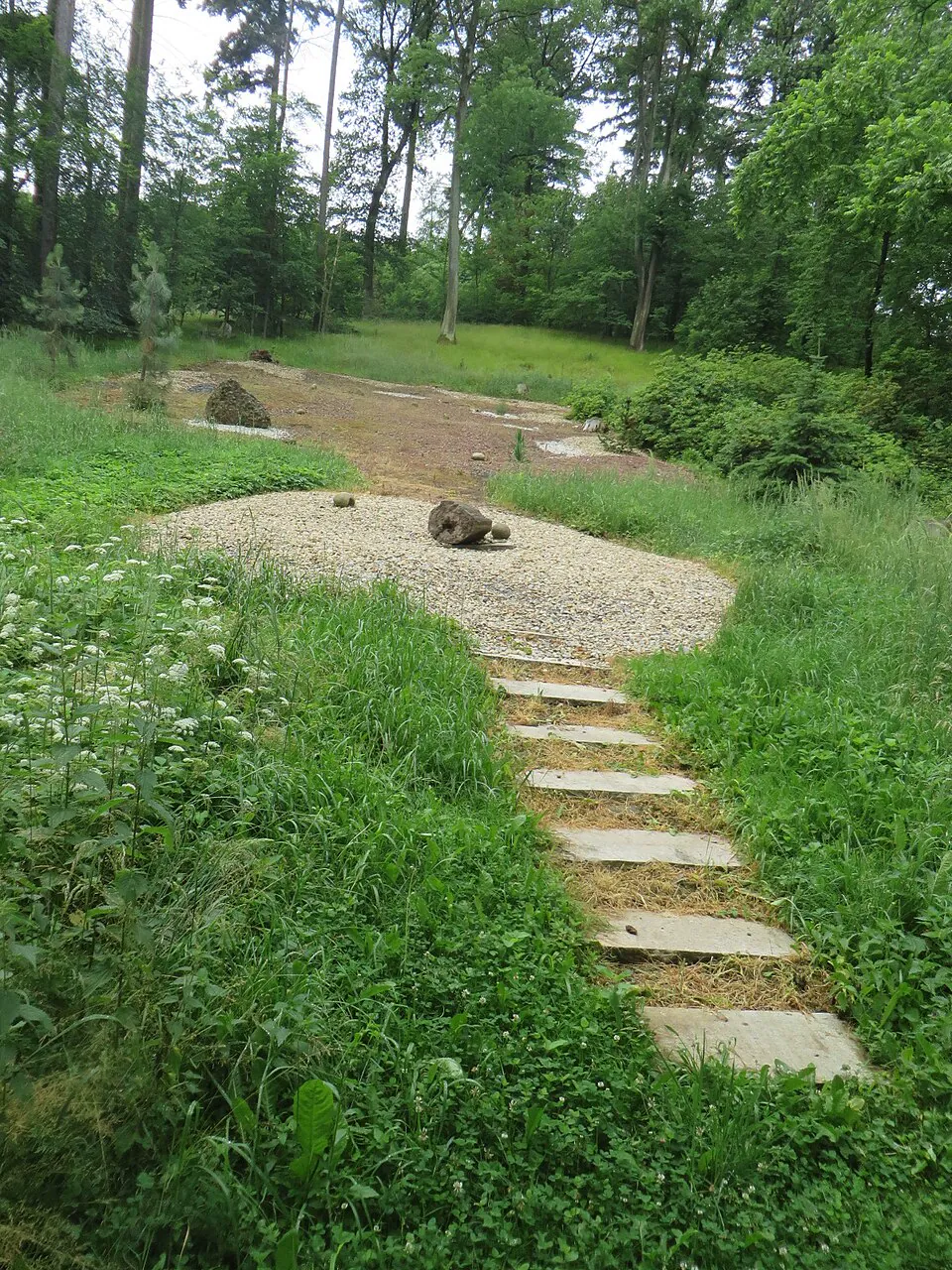 Kamenná cestička se šlapáky mezi stromy a loukami arboreta