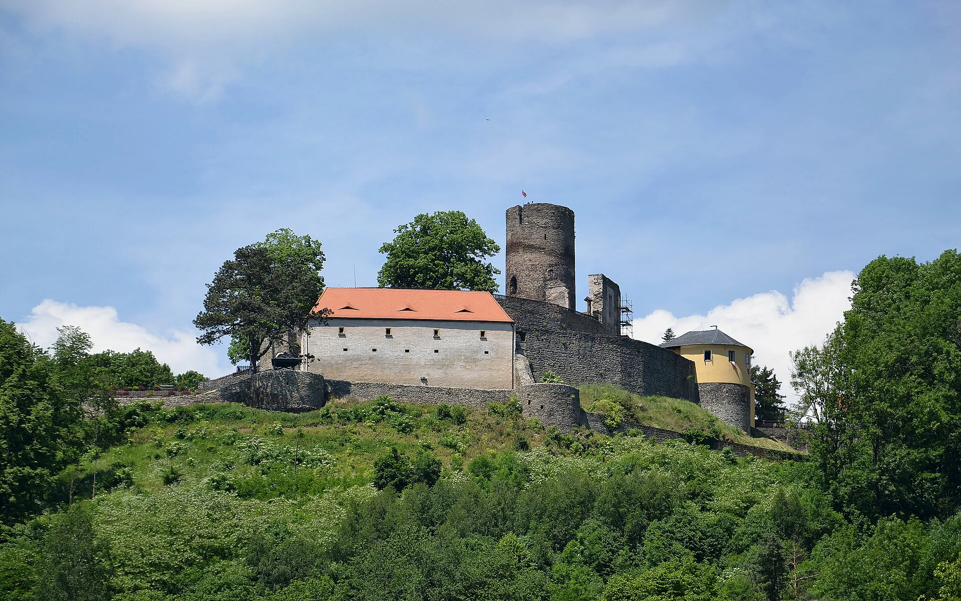 Hrad Svojanov s věží a červenou střechou paláce na zalesněném kopci