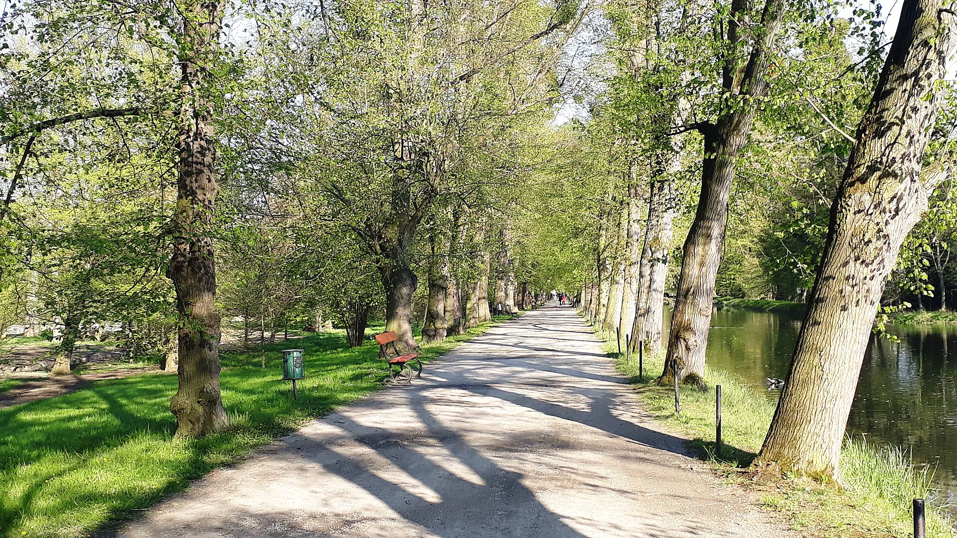 Alej podél Dlouhého rybníka s cestou vedoucí mezi vzrostlými stromy