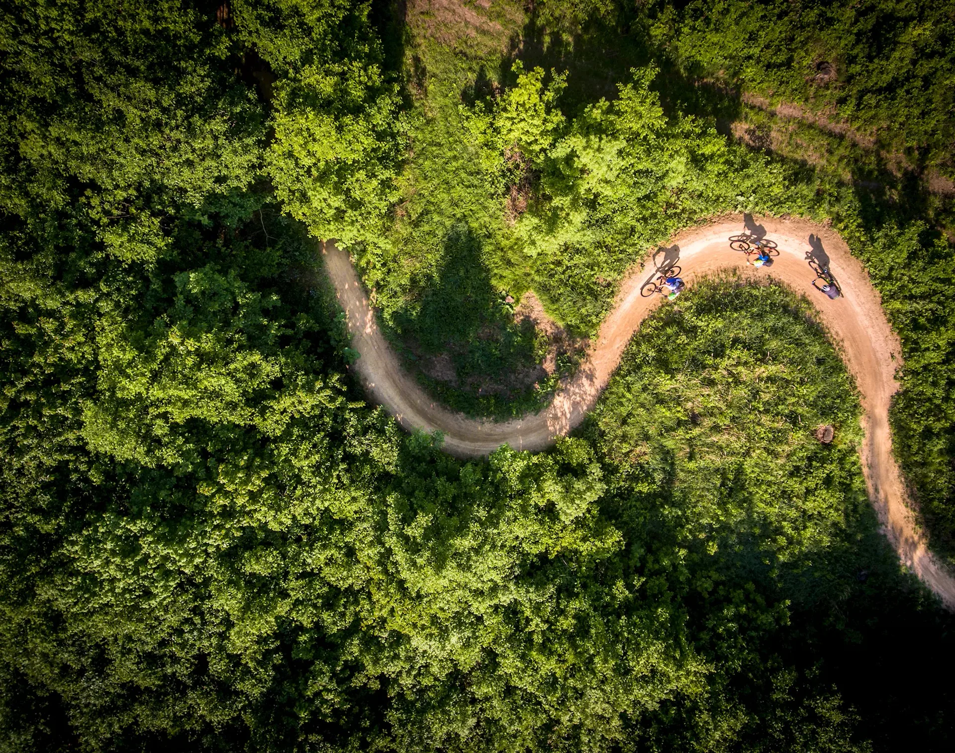 Letecký pohled na singletrail klikatící se lesem