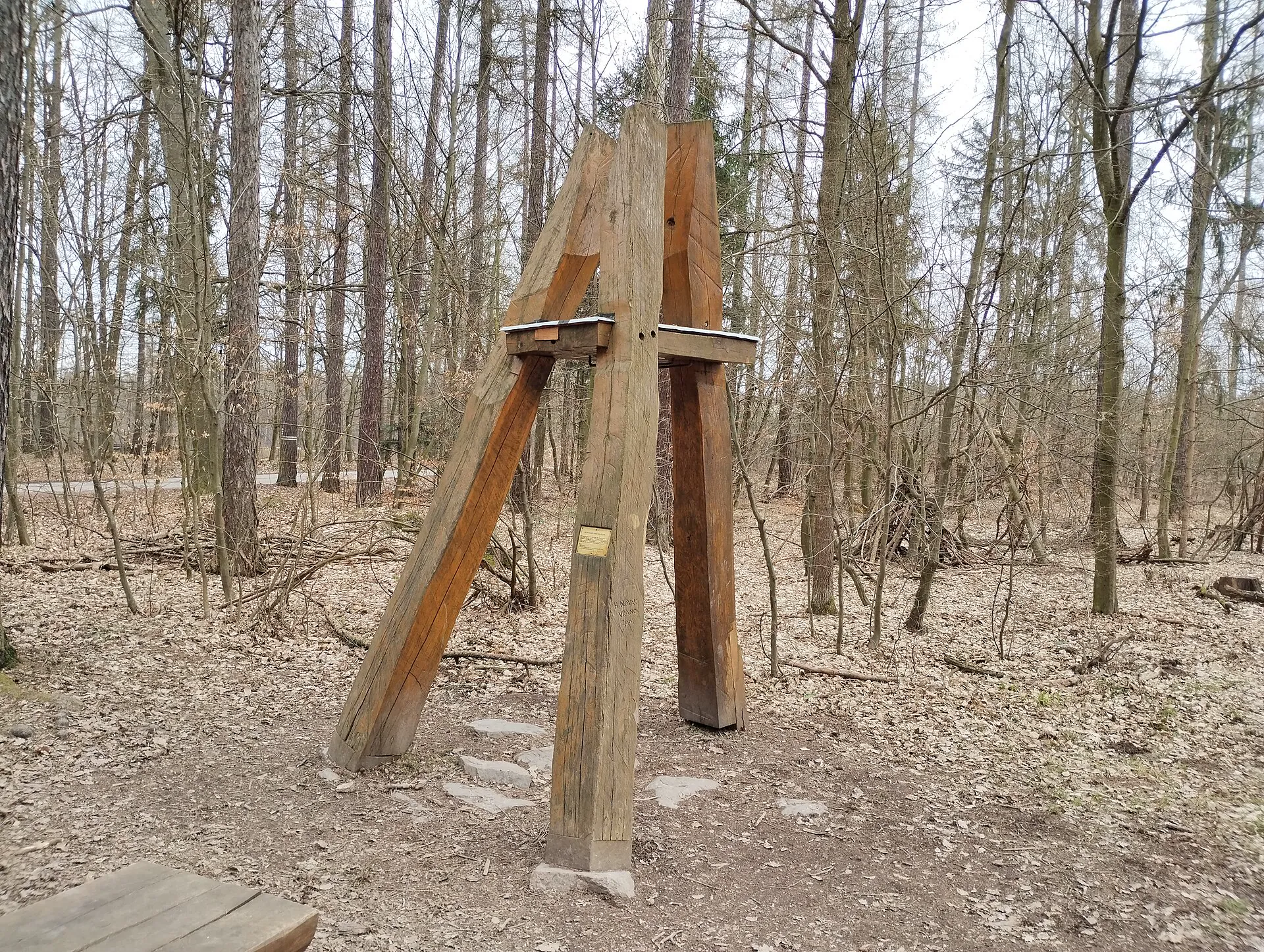 Dřevěné lelkovadlo z bočního pohledu v jarním lese
