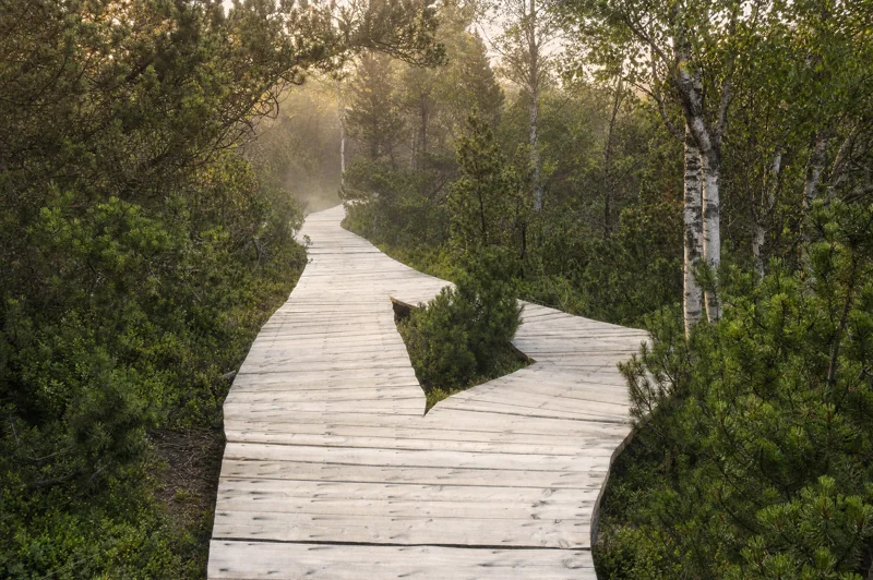 Chalupská slať