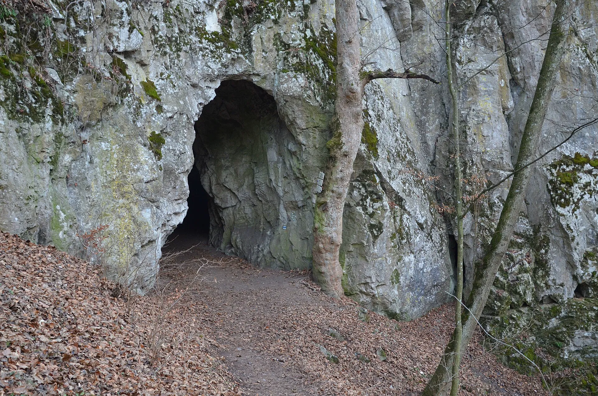 Vstupní portál jeskyně Kostelík s pěšinou pod skalní stěnou